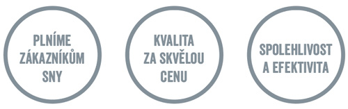 Firemní vize